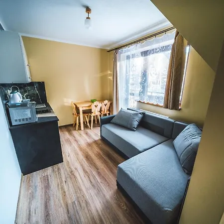Pokoje i Apartamenty Nad Potokiem Zakopane Zewnętrze zdjęcie